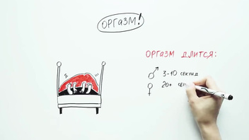 Что происходит с ТЕЛОМ во время СЕКСА