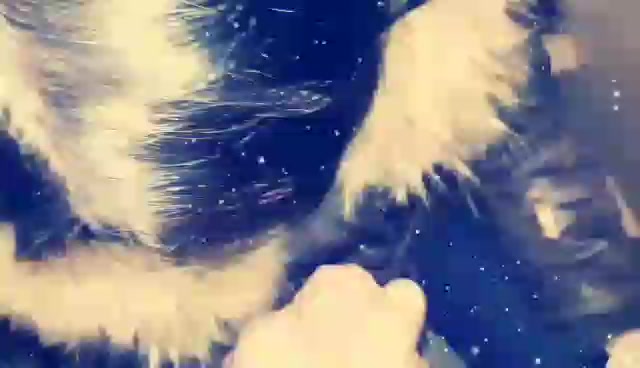 Это Любовь