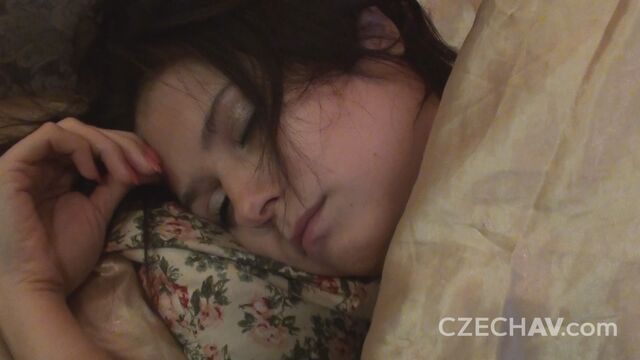 Трахает свою  суку при каждой возможности, домашняя  порнуха